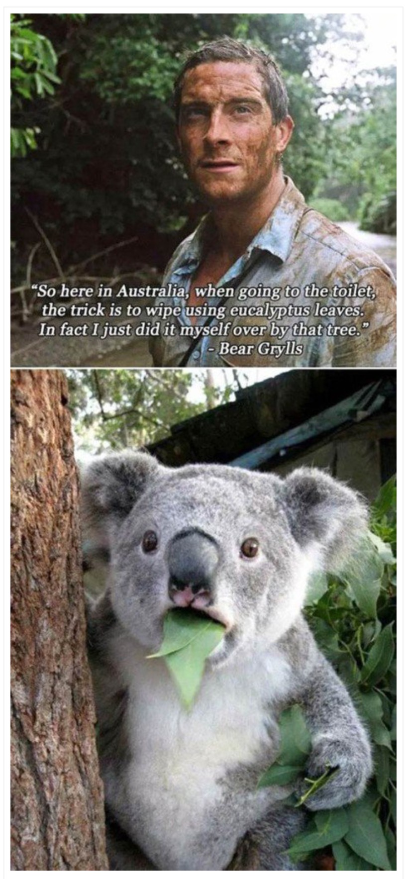 26 WTF Things You Will Only See In Australia