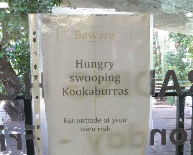 26 WTF Things You Will Only See In Australia