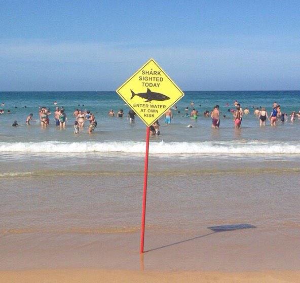 26 WTF Things You Will Only See In Australia