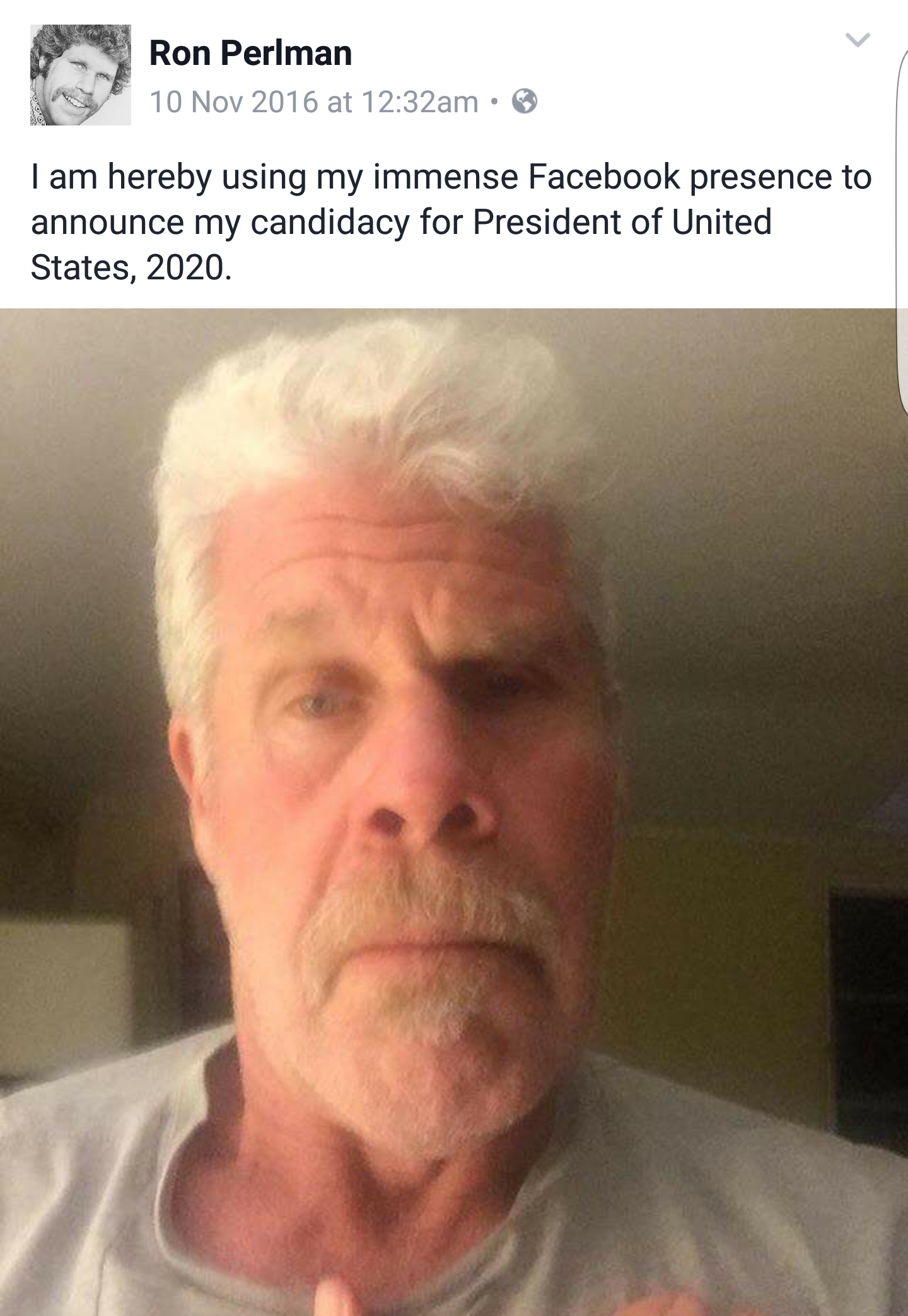 Ron Perlman Is Going For Presidency In 2020