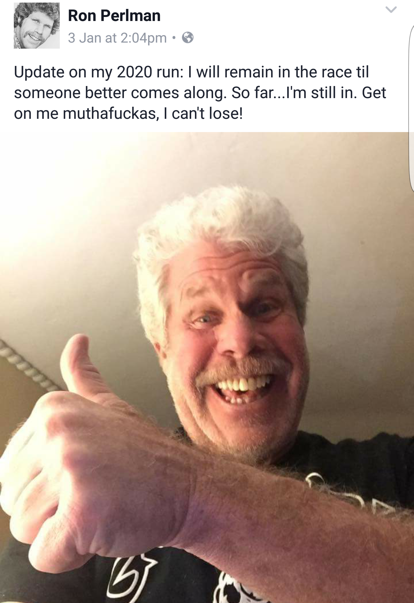 Ron Perlman Is Going For Presidency In 2020