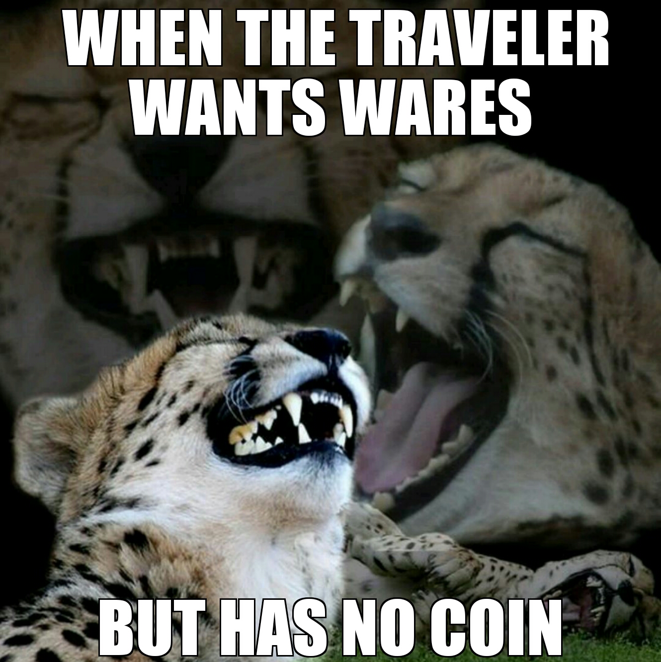 pilatus - When The Traveler Wants Wares But Has No Coin