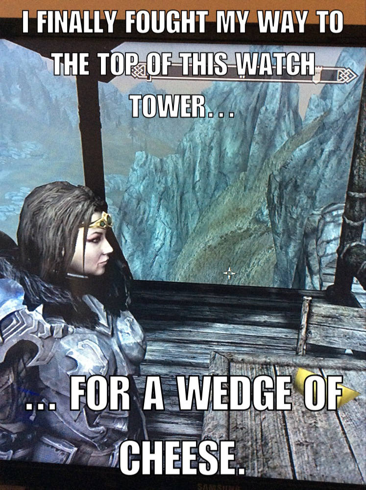poster - I Finally Fought My Way To The Top Of This Watch Tower... . For A Wedge Of Cheese.