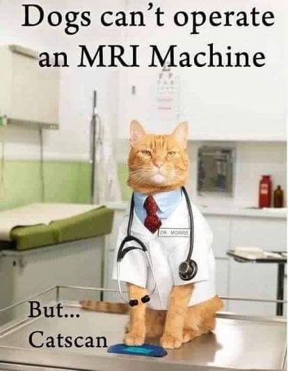 dogs can t operate mri but catscan - Dogs can't operate an Mri Machine We But... Catscan