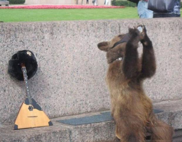 russia - bear drinking