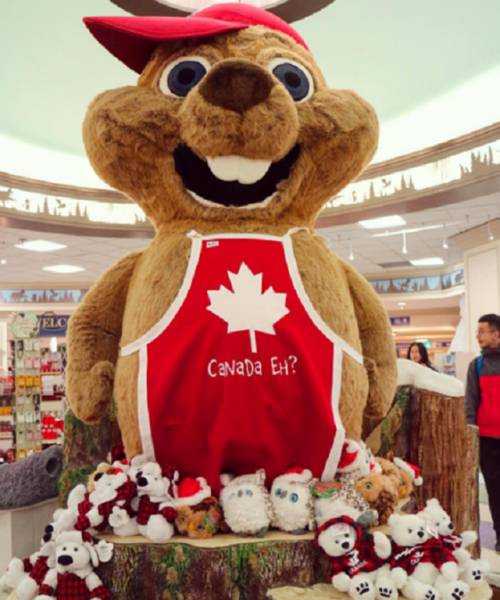 canada stuffed toy - Canada Eh?
