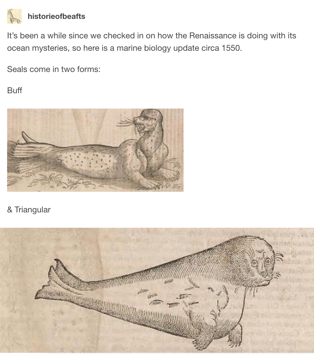 Renaissance-Era Marine Biology Is WTF