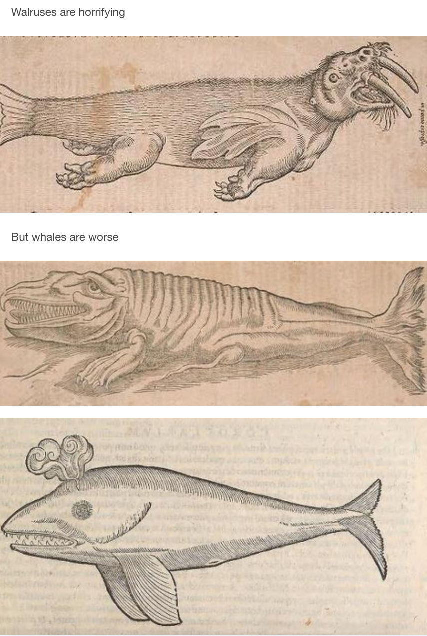 Renaissance-Era Marine Biology Is WTF