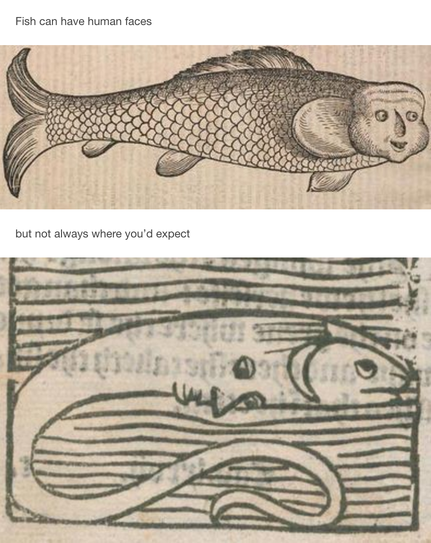 Renaissance-Era Marine Biology Is WTF