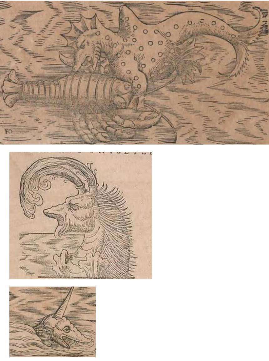 Renaissance-Era Marine Biology Is WTF