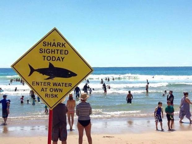 Meanwhile In Australia...