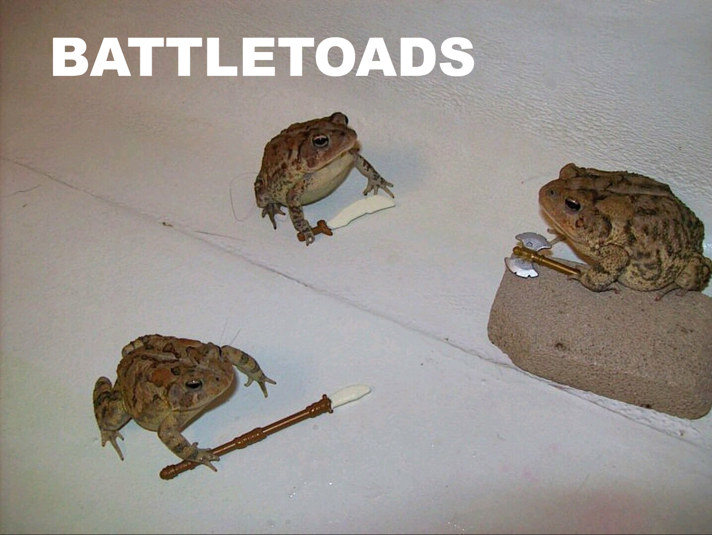 battle toads - Battletoads