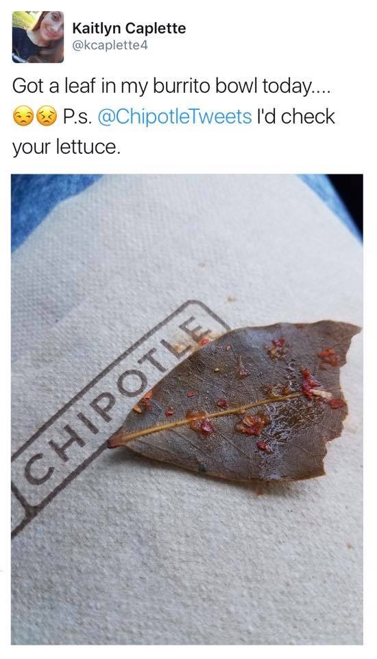 Social Media Got Flooded With Stupid People Thinking There Are Leaves In Chipotle