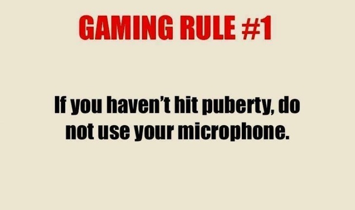 document - Gaming Rule If you haven't hit puberty, do not use your microphone.