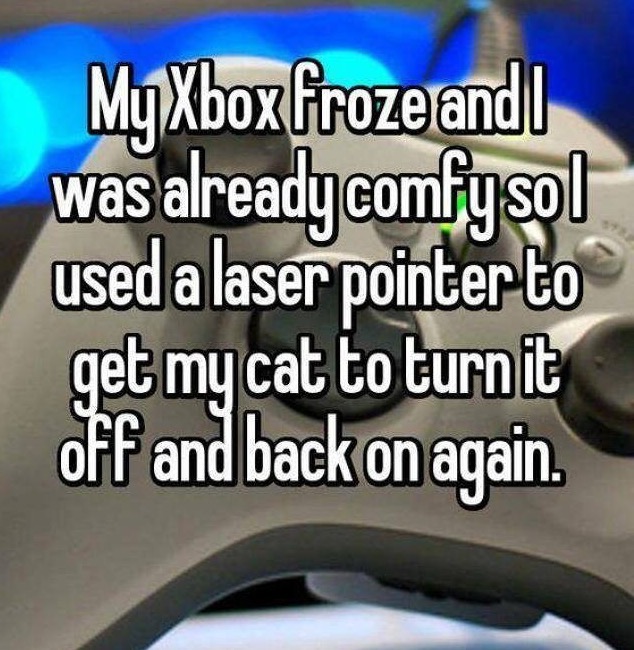 photo caption - My Xbox froze and I was already comfysol used a laser pointer to get my cat to turn it off and back on again.