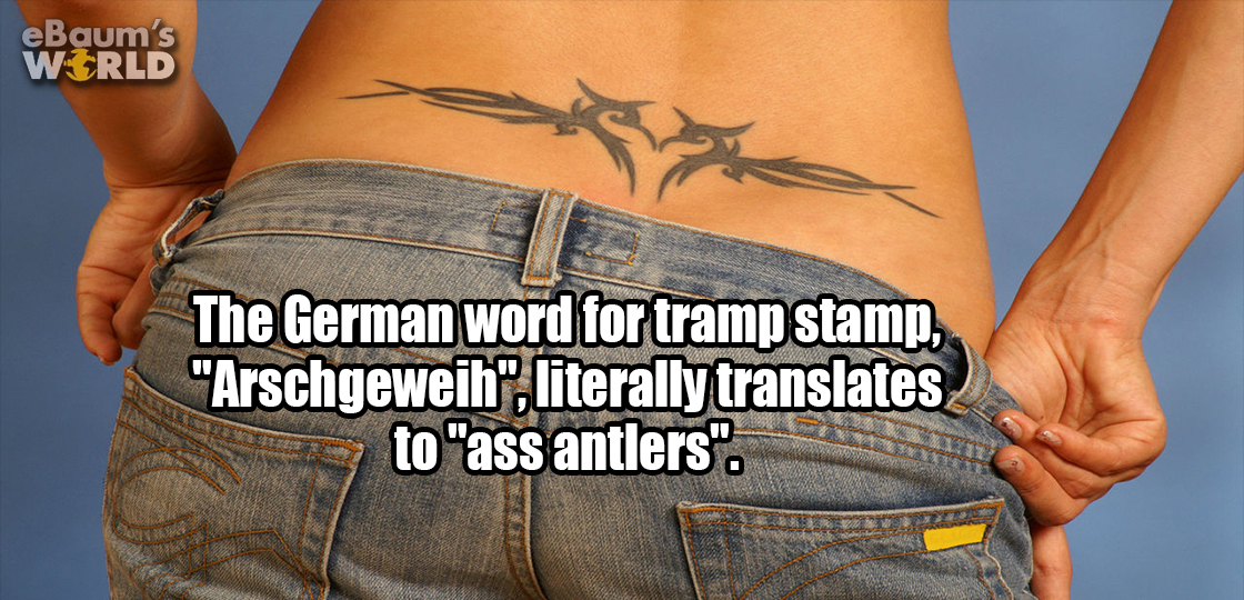 eBaum's World The German word for tramp stamp, "Arschgeweih", literally translates to "ass antlers".