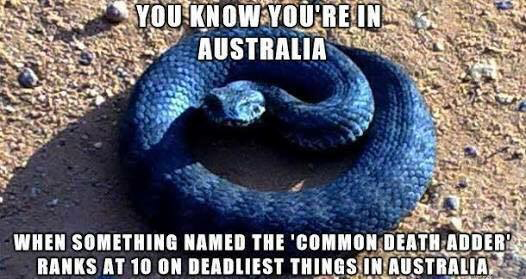 Meanwhile In Australia