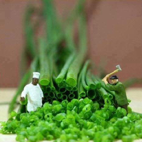 34 Incredible Miniatures That Prove Life In Plastic Is Fantastic