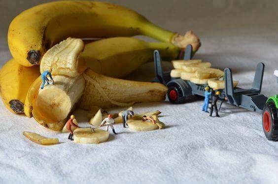 34 Incredible Miniatures That Prove Life In Plastic Is Fantastic