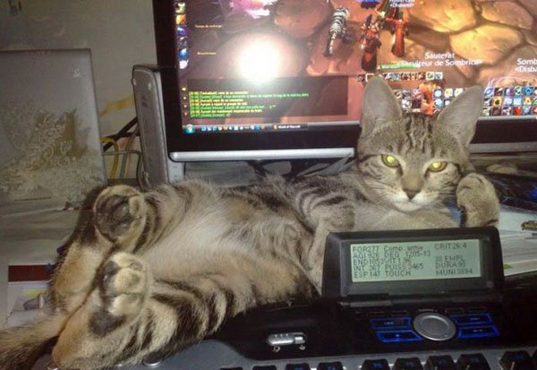 49 Awesome Gaming Pics And Memes Handpicked For Your Satisfaction
