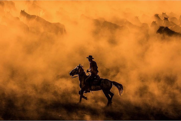 A rancher trots along the edge of a dust cloud kicked up by his herd.   Open Motion category.