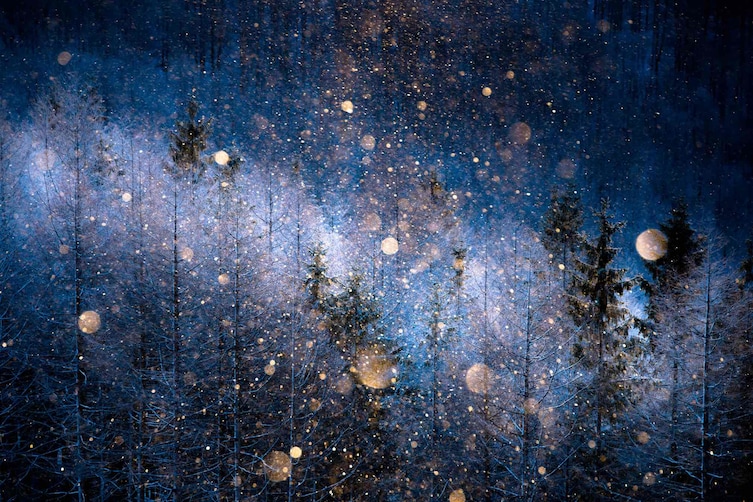 Diamond dust forming above a forest in Japan.   Open Nature category.