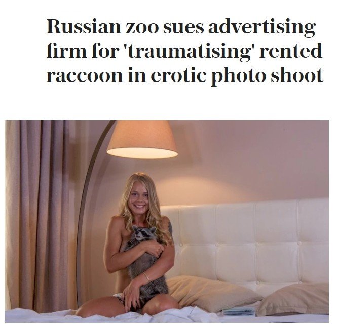 Russian Zoo Sues For Molesting A Raccoon