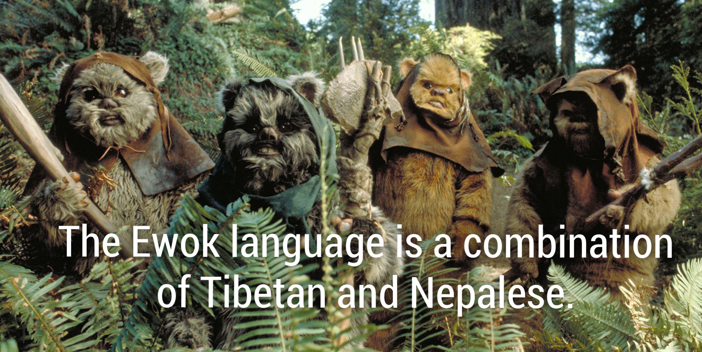 ewok star wars - The Ewok language is a combination of Tibetan and Nepalese,
