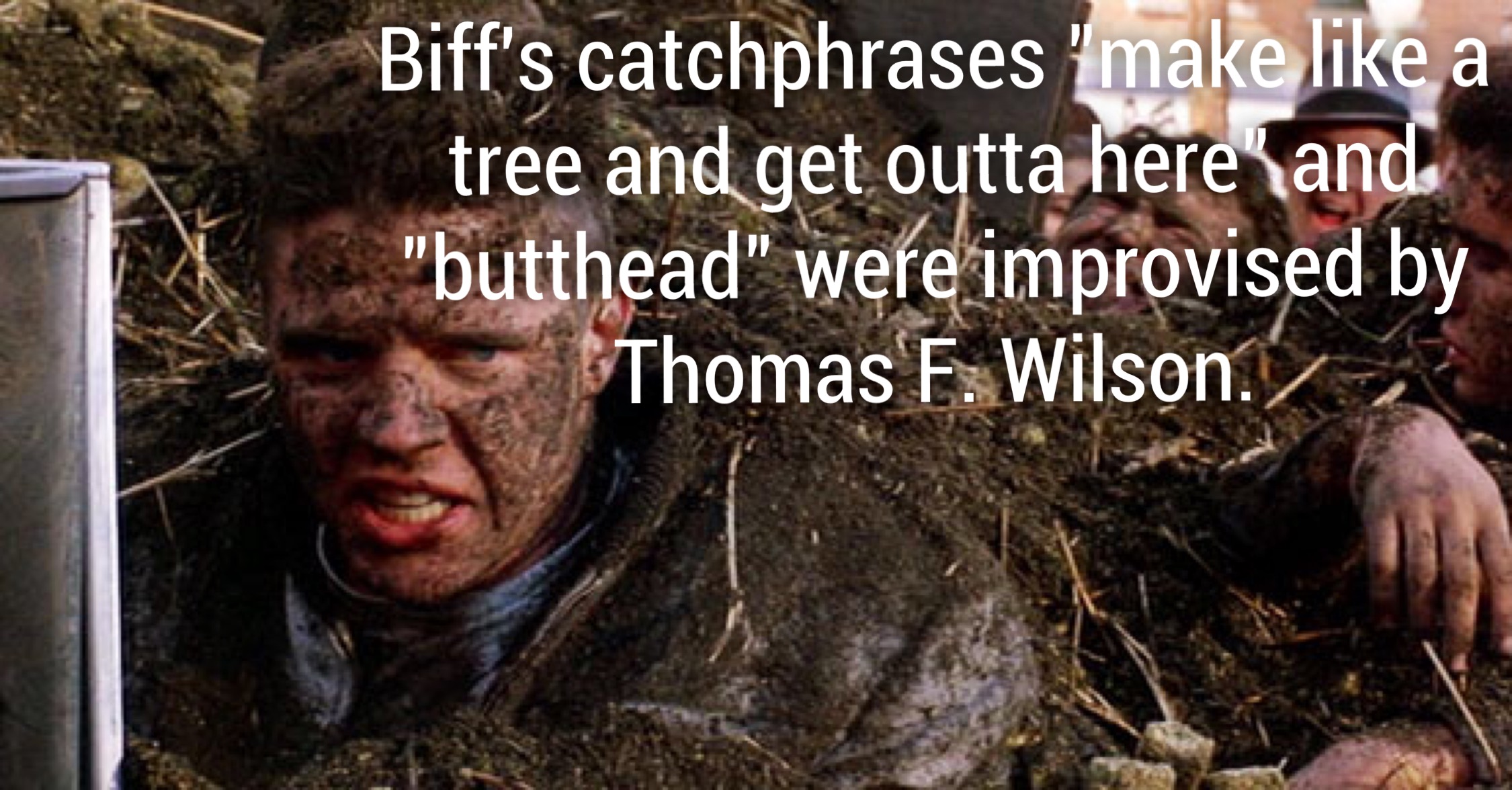 back to the future biff - Biff's catchphrases 'make a tree and get outta herehand. "butthead" were improvised by Thomas F. Wilson.