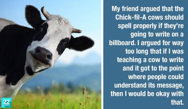 27 Of The Stupidest Arguments People Actually Had