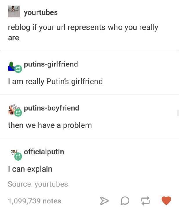 document - A yourtubes reblog if your url represents who you really are & putinsgirlfriend I am really Putin's girlfriend prin putinsboyfriend then we have a problem officialputin I can explain Source yourtubes 1,099,739 notes > D