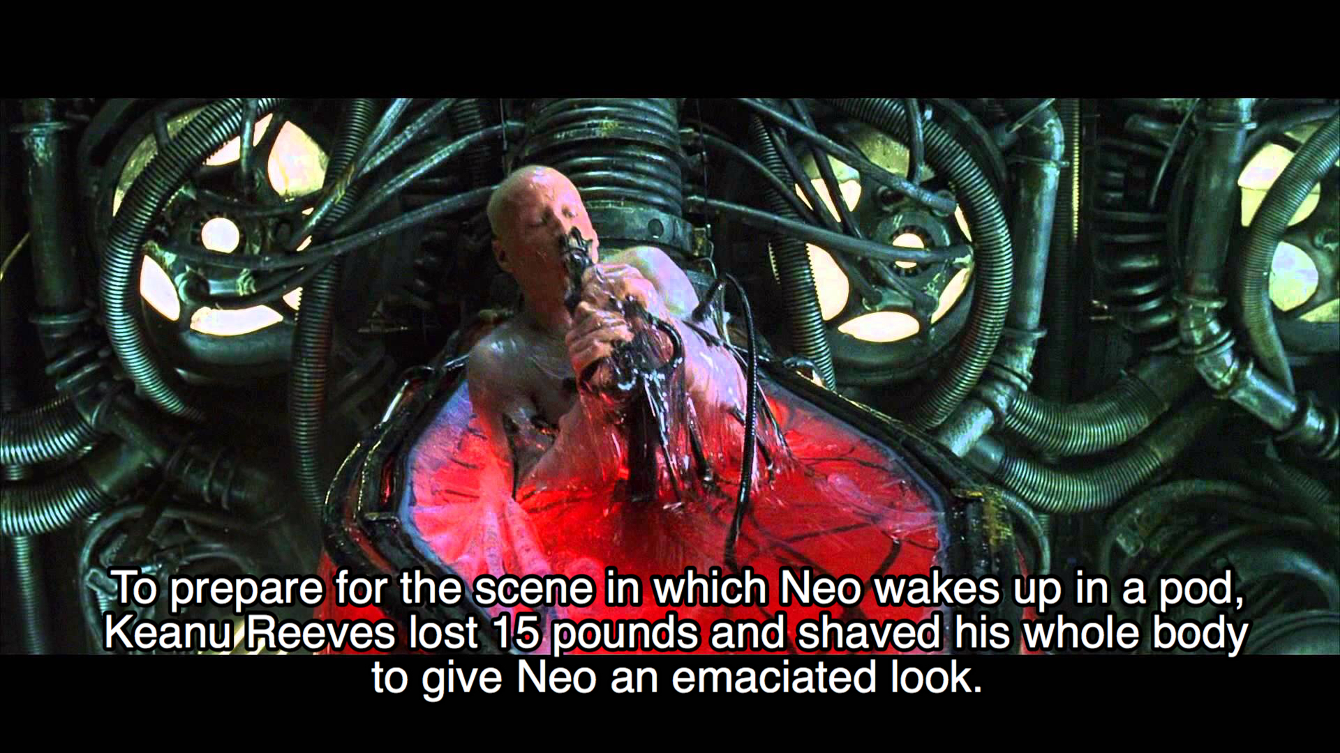 universe do we live - To prepare for the scene in which Neo wakes up in a pod, Keanu Reeves lost 15 pounds and shaved his whole body to give Neo an emaciated look.