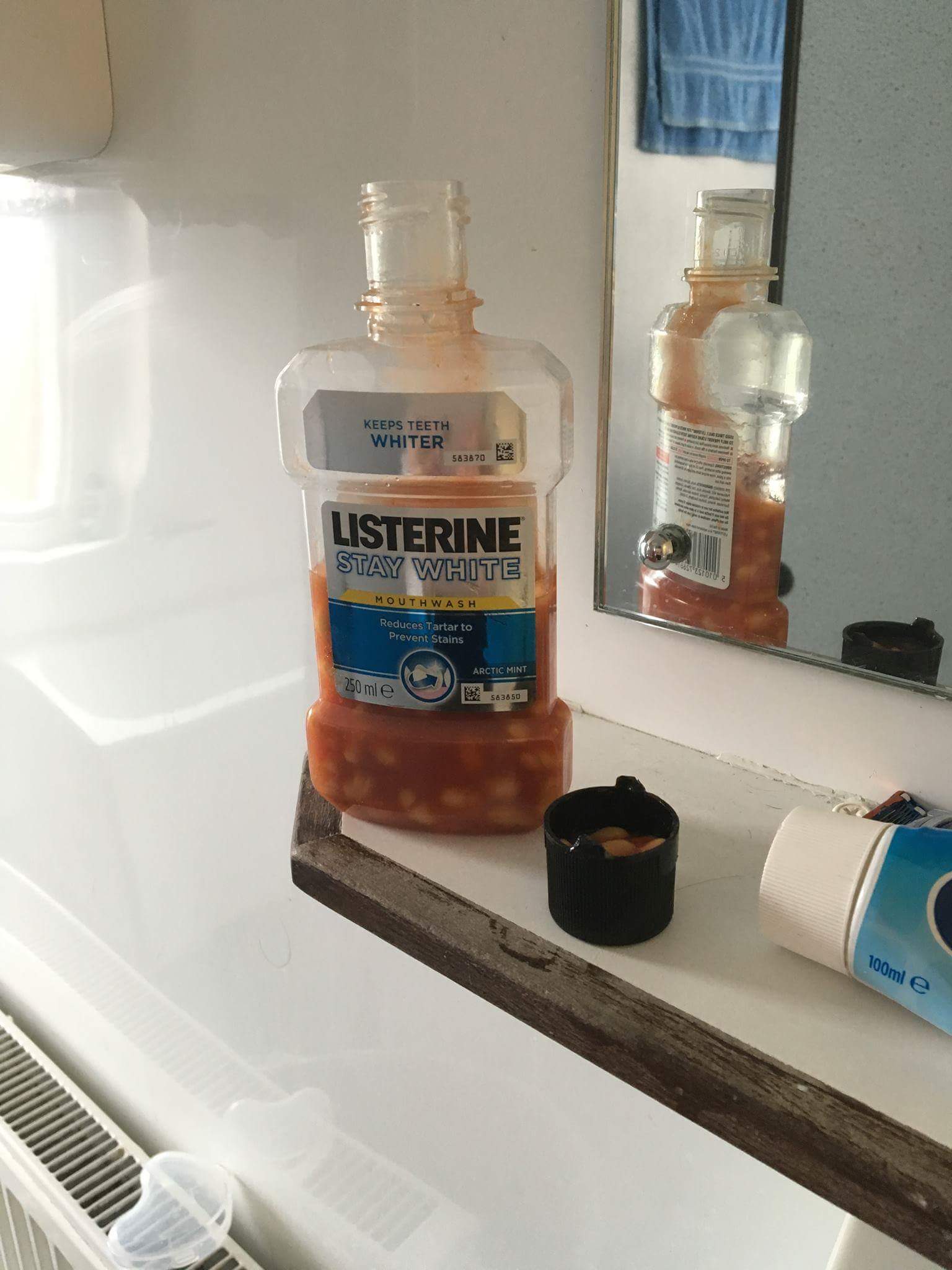 15 Images Full Of Beans That Will Make You Say WTF