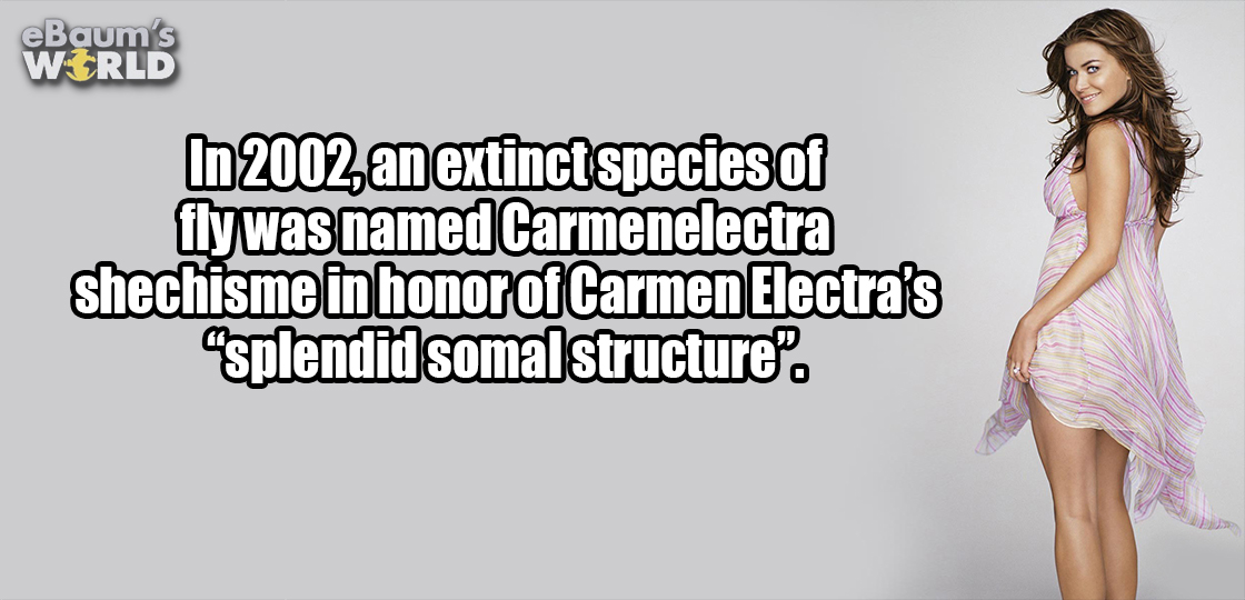 funny - eBaum's World In 2002, an extinct species of flywas named Carmenelectra shechisme in honor of Carmen Electra's splendid somal structure.