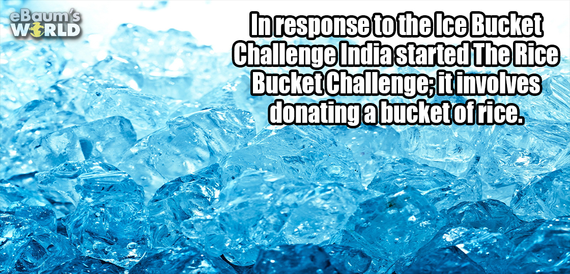 ice cube water - eBaum's Wrld In response to the Ice Bucket Challenge India started The Rice Bucket Challenge; it involves donating a bucket of rice.