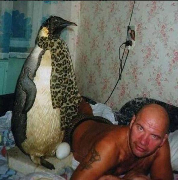 26 Pictures That Scream Only In Russia