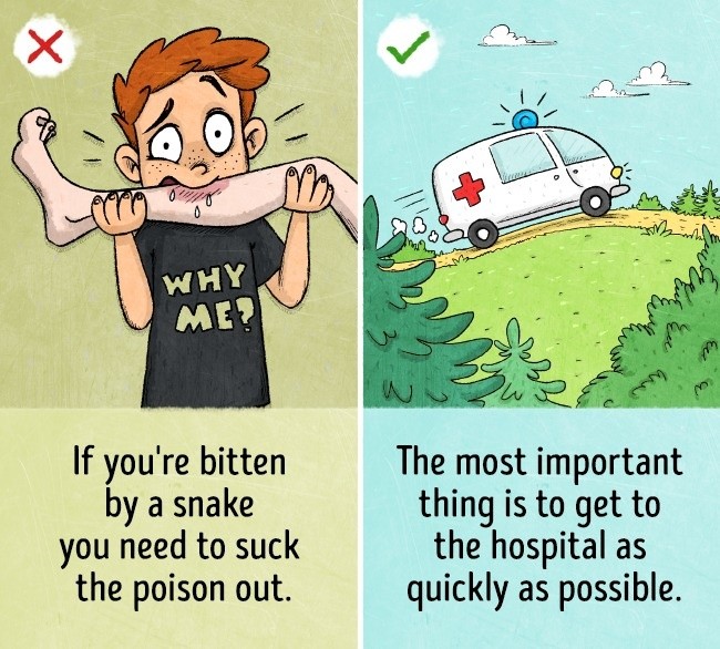 9 Survival Myths That Might End Bad If Used In A Dangerous Situation