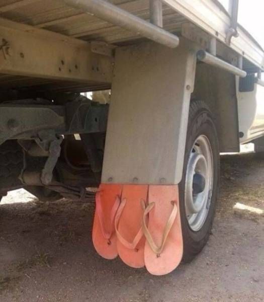 36 Things You Don't See Everyday On The Road