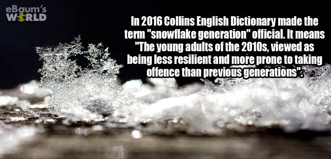 snowflake hd - eBaum's World In 2016 Collins English Dictionary made the term "snowflake generation" official. It means "The young adults of the 2010s, viewed as being less resilient and more prone to taking offence than previous generations"