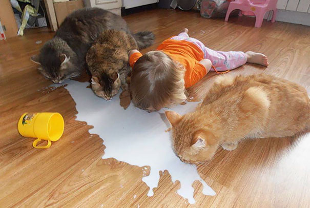 24 Reasons Not To Left Your Kids Alone With Your Pets