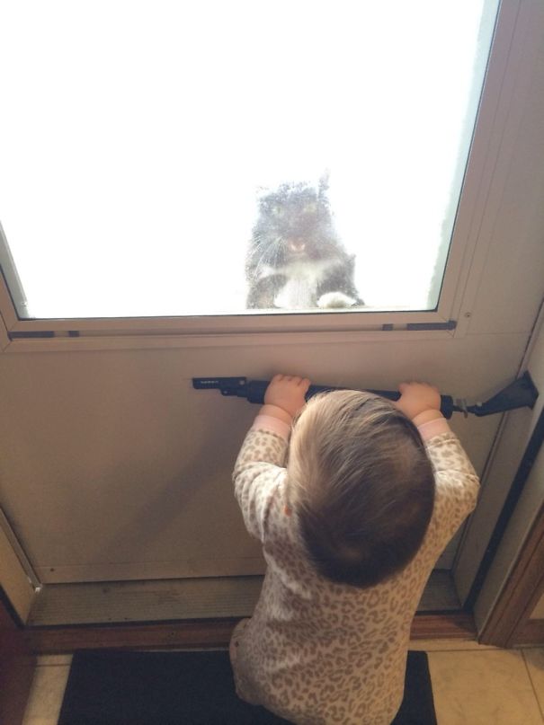 24 Reasons Not To Left Your Kids Alone With Your Pets