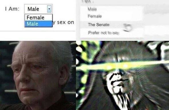 am the senate meme - I Am Male Female Male Female sex on The Senate Prefer not to