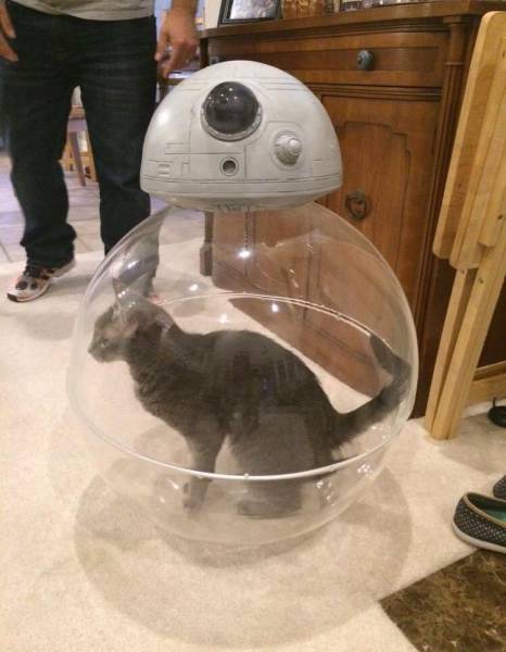 bb 8 really works