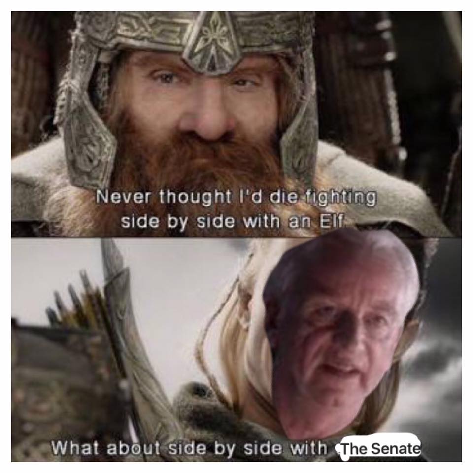 never thought i d die fighting side by side with an elf - Never thought I'd die fighting side by side with an Eit What about side by side with The Senate