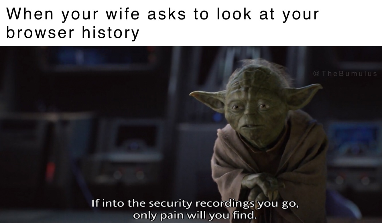 if into the security recordings you go only pain will you find - When your wife asks to look at your browser history @ The Bu mulus If into the security recordings you go, only pain will you find.