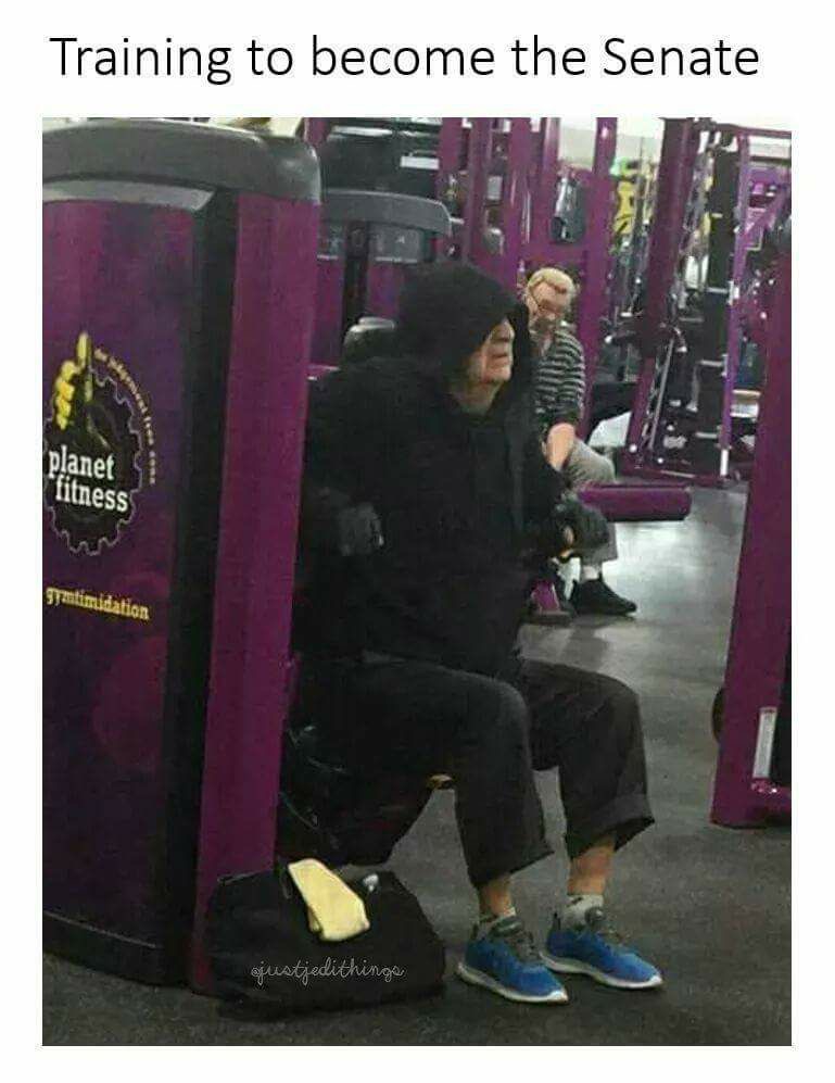 training to be the senate - Training to become the Senate planet fitness Santimidation justjedithinge