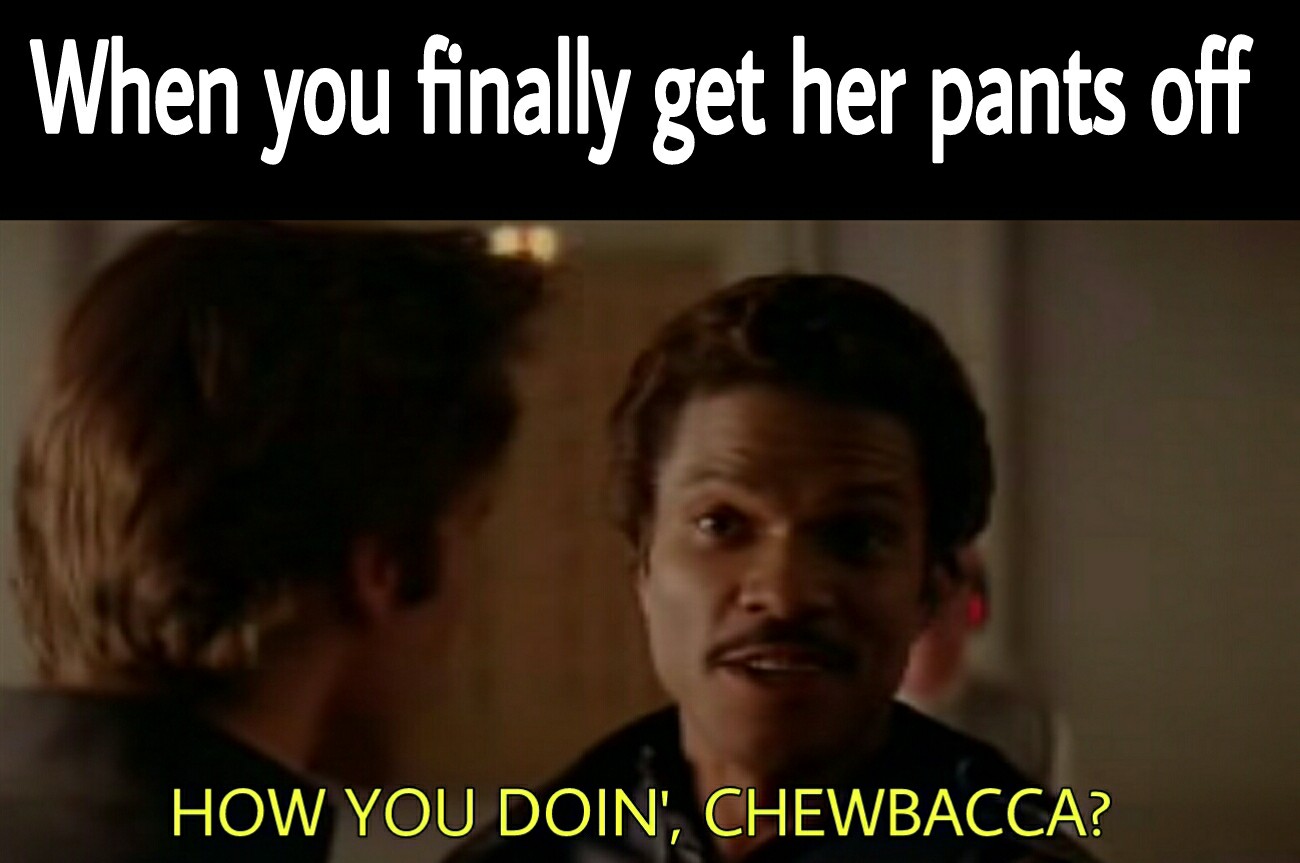 creepy star wars memes - When you finally get her pants off How You Doin', Chewbacca?