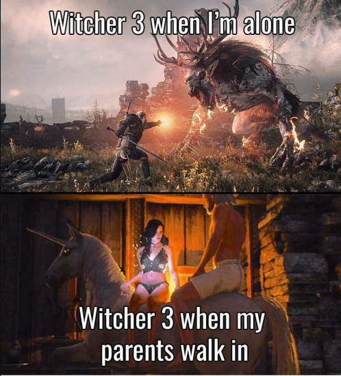 witcher 3 memes - Witcher 3 when I'm alone Witcher 3 when my parents walk in