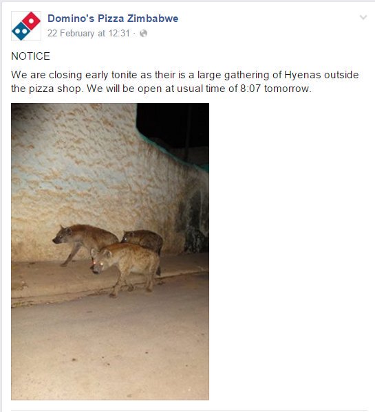 dominos zimbabwe twitter - Domino's Pizza Zimbabwe 22 February at Notice We are closing early tonite as their is a large gathering of Hyenas outside the pizza shop. We will be open at usual time of tomorrow.