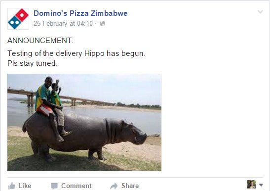 domino's pizza - Domino's Pizza Zimbabwe 25 February at Announcement Testing of the delivery Hippo has begun. Pls stay tuned. Comment